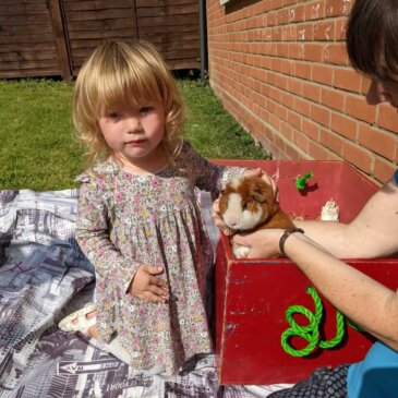 Chatterbox summer fun